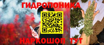 a pvp Кинель
