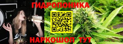 a pvp Кинель