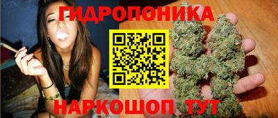 a pvp Кинель
