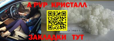 дживик Кингисепп