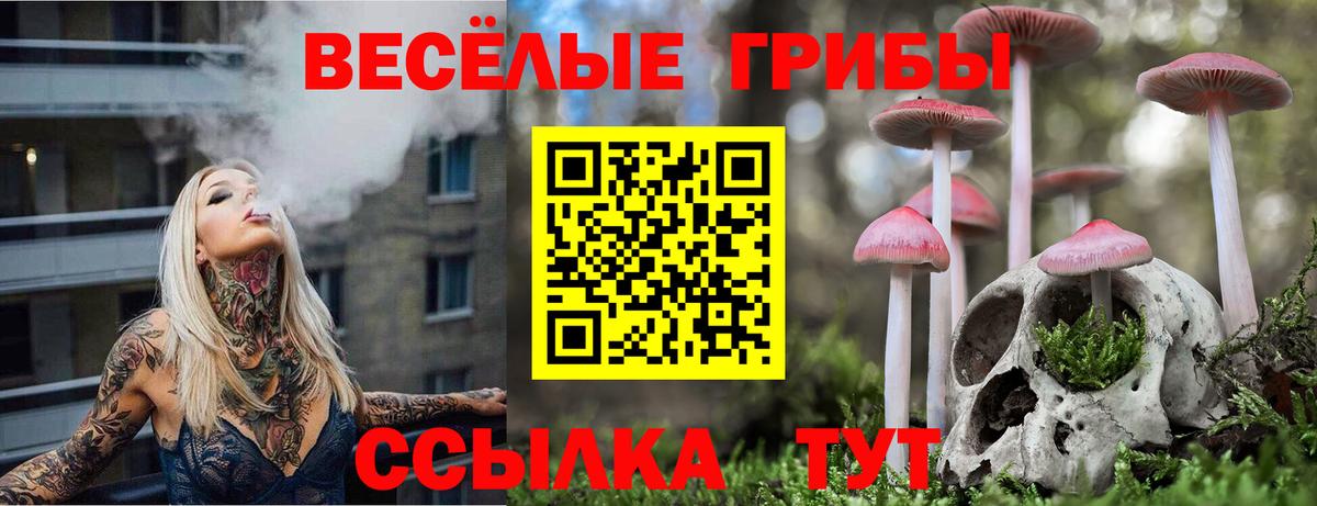 Коммунар  Галлюциногенные грибы MAGIC MUSHROOMS  Галлюциногенные грибы мухоморы  Вход с VPN 