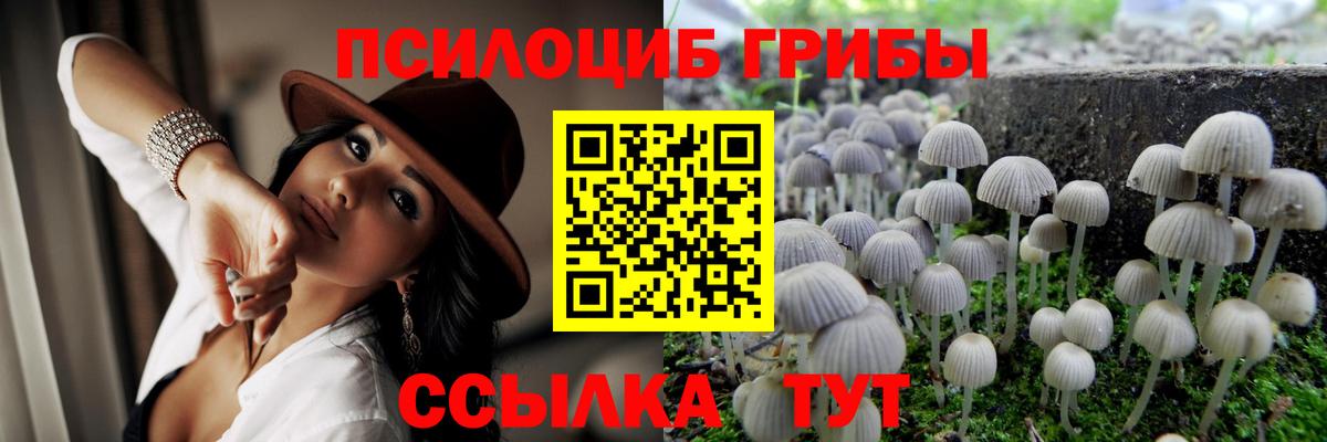 Псилоцибиновые грибы Cubensis Коммунар